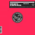David Guetta & Martin Solveig - Thing For You