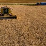 17:45 Aproape 25 de milioane de tone de cereale, blocate în Ucraina