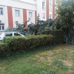 20:03 Copac căzut pe două maşini parcate lângă Spitalul Judeţean
